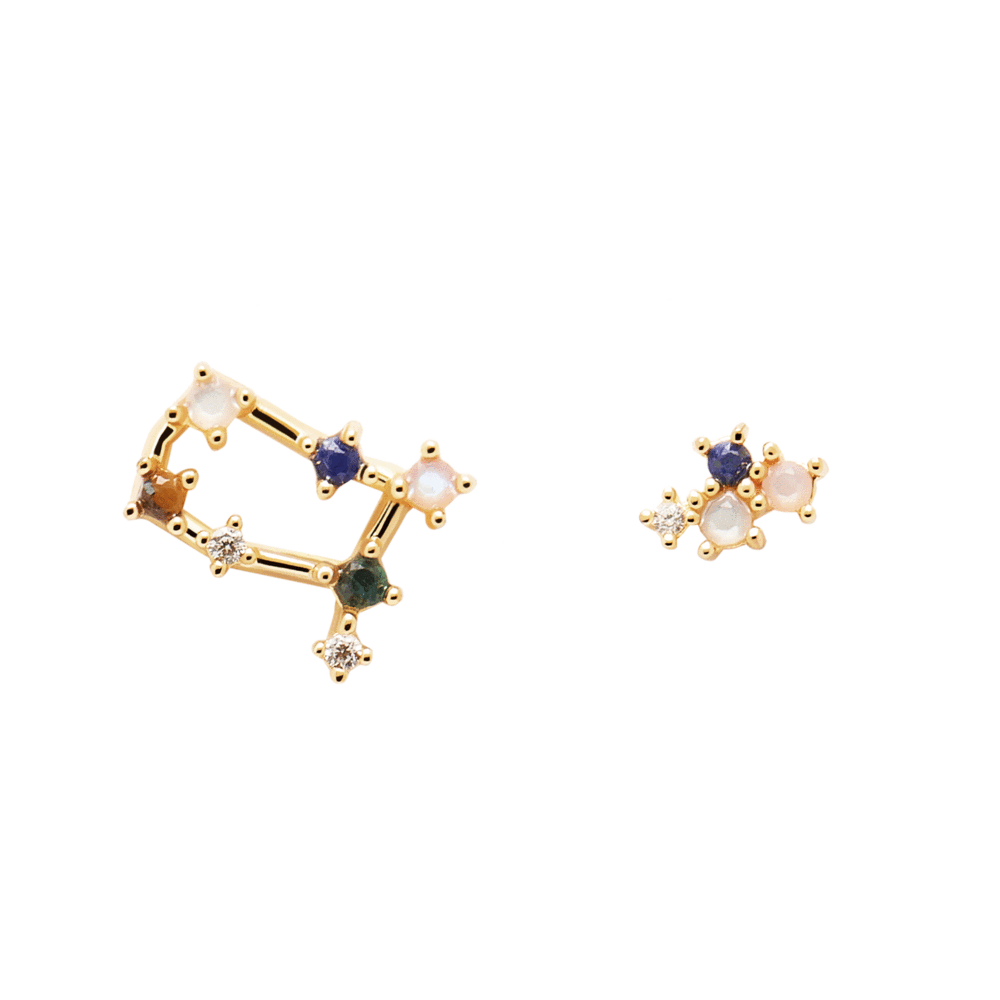  ZODIAC GEMINI Γυναικεία Σκουλαρίκια  Επιχρυσωμένο Ασήμι 925 AR01-406-U